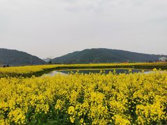 -八卦田遗址公园