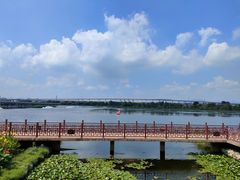 -绿堤公园