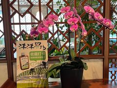 -洋洋中餐馆·SINCE 1997(信投店)