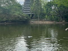 -厦门园林博览苑