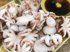 芥末白灼八爪鱼-贞姨美食·老字号海鲜大排档