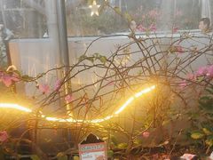 -三毛演义·湖南烧烤大排档(南浦店)