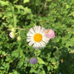 -初八手工DIY陶艺馆(初八陶社)