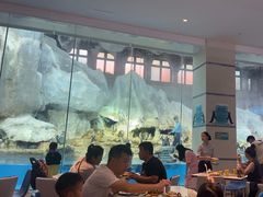 -帝企鹅自助餐厅•儿童岛•真企鹅(长隆企鹅酒店)