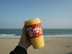 -南澳岛打卡果汁冰公司
