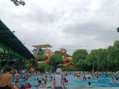 -苏州乐园森林水世界