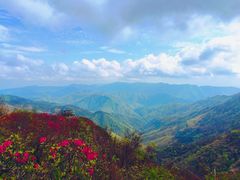 -永州阳明山国家森林公园