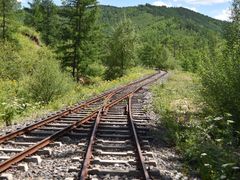 -莫尔道嘎国家森林公园