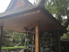 -西双版纳傣族园