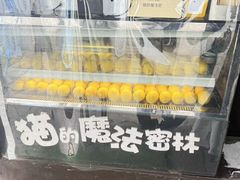 -猫的魔法密林(衣裳街店)