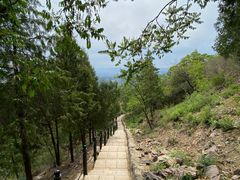-北京十三陵国家森林公园蟒山景区