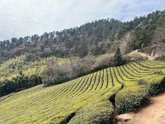 -敬亭山风景名胜区