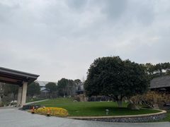 -龙吟九品(青龙山庄店)