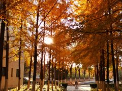 -北京国家会计学院