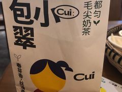 -包整·丝娃娃(一览甲秀楼风景店)