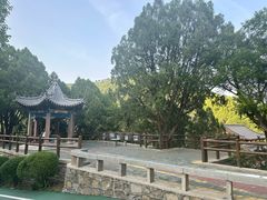 -四门塔风景区