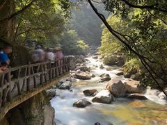 -炎陵县神农谷国家森林公园