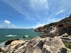 -广东惠东海龟国家级自然保护区