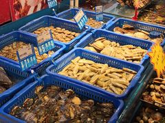 -必点海鲜·鲅鱼水饺(鞍山西道店)