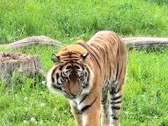 -沈阳森林动物园