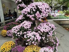 -杭州植物园
