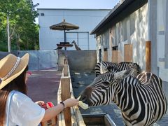 -水上乐园·欢乐世界