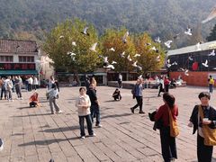 -九华山风景区