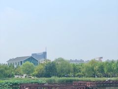 -金银湖国家城市湿地公园