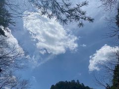 -朱雀国家森林公园