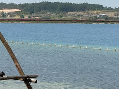 -露天矿生态公园