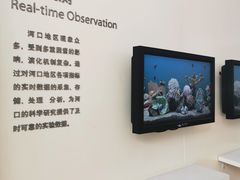 -上海长江河口科技馆