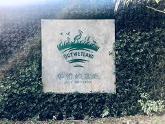 -华侨城湿地公园