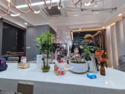 -V+SALON造型
