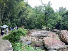 -四明山国家森林公园