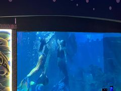 -石家庄海洋公园