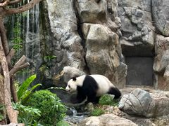 -香港海洋公园