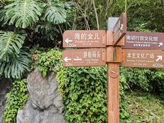 -南诏风情岛