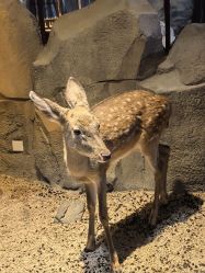 -酷嗒动物文化乐园(cutezoo西溪乐天城店)