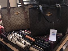 -COACH蔻驰(赛特奥特莱斯店)