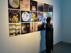 -chi K11艺术空间展览厅