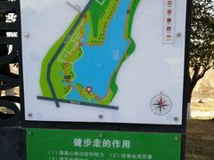-月湖风景区