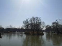 -西安浐灞国家湿地公园