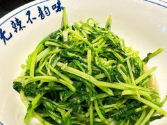 -王捌小院(红花坡店)