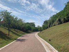 -镇江市南山风景名胜区竹林景区