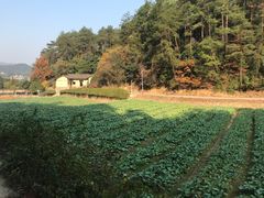 -韶山毛泽东同志故居