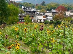 -塔川景区