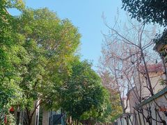 -颐和路民国时期公馆风貌区