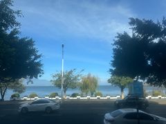 -野菌皇海景野生菌火锅(滨海大道店)