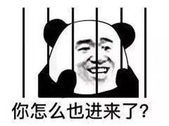 -小海豚国际游泳培训(长宁龙之梦酒店)
