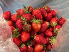 -五里多农博广场